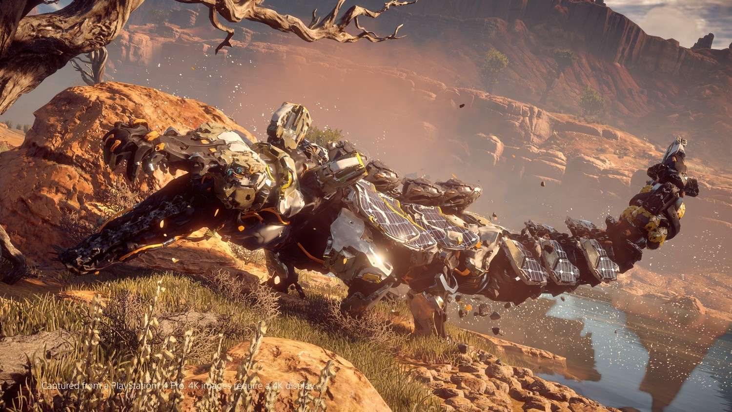 Horizon Zero Dawn Complete Edition кряк для ПК